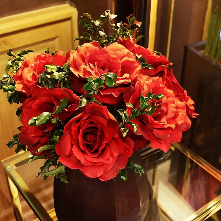 تريانون ريف جوش فندق 4*