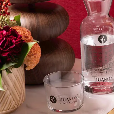 Trianon Rive Gauche 4* Paryż